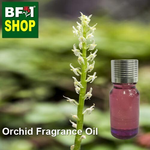 Orchid Fragrance Oil-Adder's-mouth [White] > Malaxis monophyllos var. brachypoda-10ml