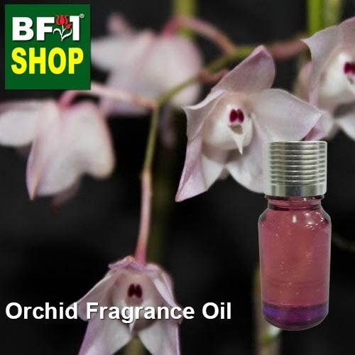 Orchid Fragrance Oil-Angelfish orchid > Dendrobium aduncum-10ml
