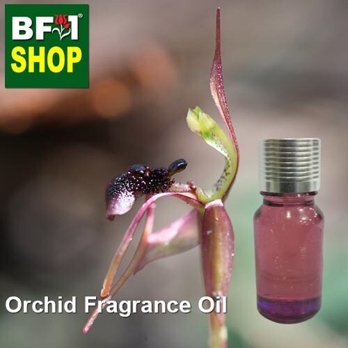 Orchid Fragrance Oil-Ant orchid (Australia) > Chiloglottis formicifera-10ml