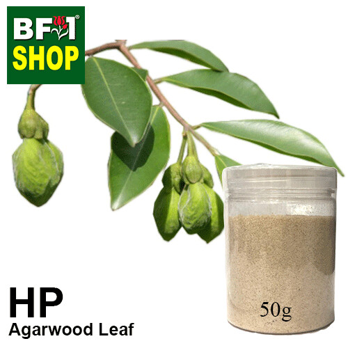 Herbal Powder - Agarwood Leaf Herbal Powder - 50g