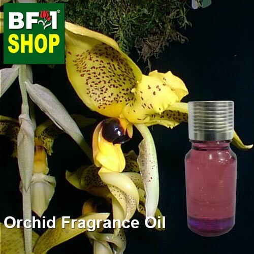 Orchid Fragrance Oil-Beetles (Cucarrones) > Stanhopea-10ml