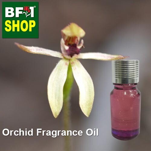Orchid Fragrance Oil-Bird orchid [Bronze] (Australia) > Chiloglottis pesscottiana-10ml