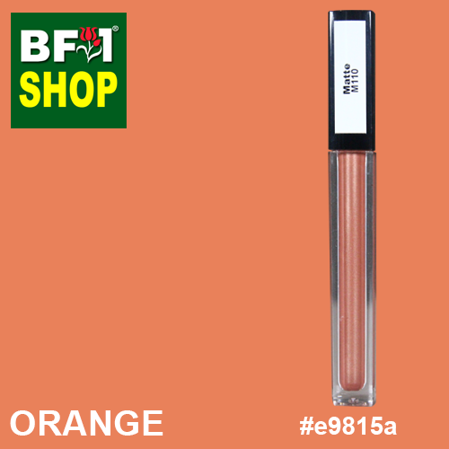 Shining Lip Matte Color - Orange #E9815a - 5g