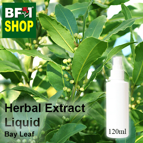 Herbal Extract Liquid - Bay Leaf Herbal Water - 120ml