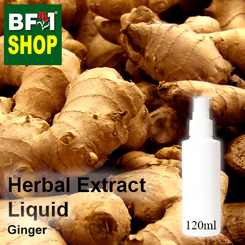 Herbal Extract Liquid - Ginger Herbal Water - 120ml