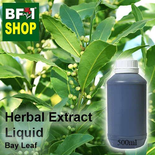 Herbal Extract Liquid - Bay Leaf Herbal Water
- 500ml