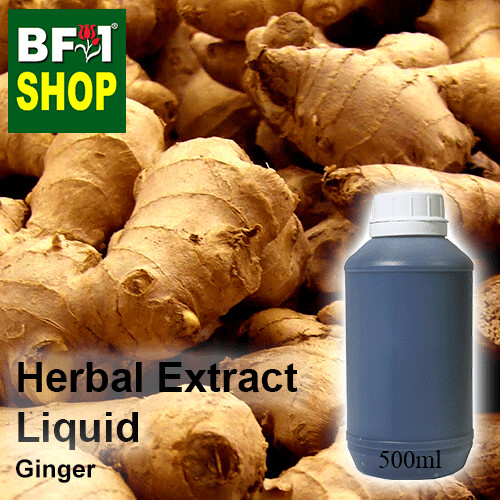 Herbal Extract Liquid - Ginger Herbal Water - 500ml