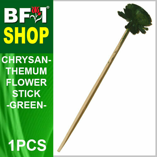 BAP- Reed Diffuser Flower Stick - Chrysanthemum - Green x 1pc