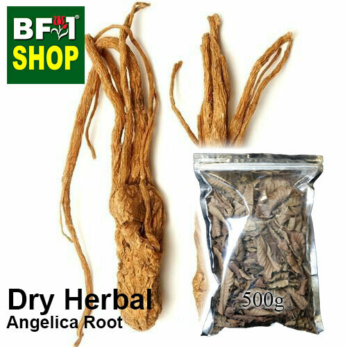 Dry Herbal - Angelica Root - 500g
