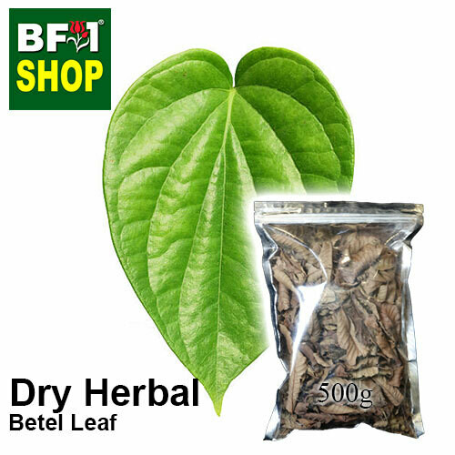 Dry Herbal - Betel Leaf ( Daun Sireh ) - 500g