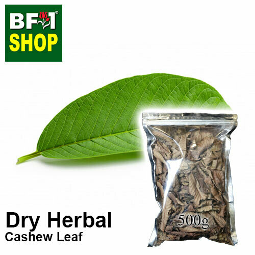 Dry Herbal - Cashew Leaf ( Anacardium Occidentale ) - 500g