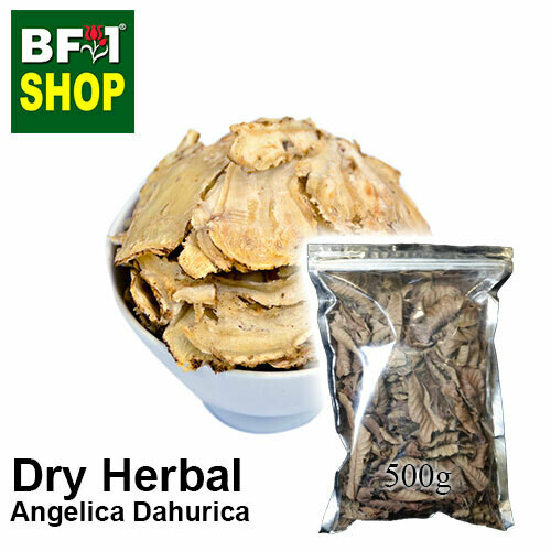 Dry Herbal - Angelica Dahurica - 500g