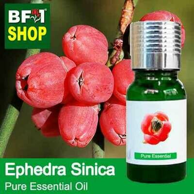 Pure Essential Oil (EO) - Ephedra Sinica Essential Oil - 10ml