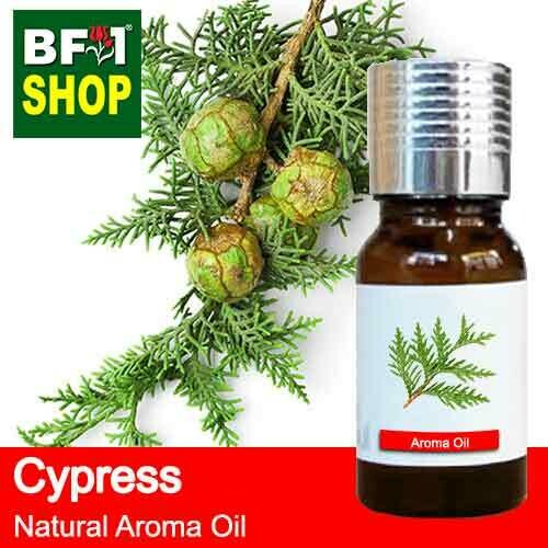 Natural Aroma Oil (AO) - Cypress Aroma Oil - 10ml