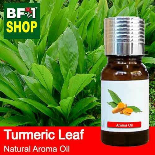 Natural Aroma Oil (AO) - Turmeric Leaf Aroma Oil 10