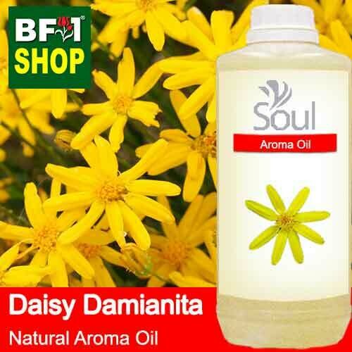 Natural Aroma Oil (AO) - Daisy Damianita ( Chrysactinia Mexicana ) Aroma Oil - 1L