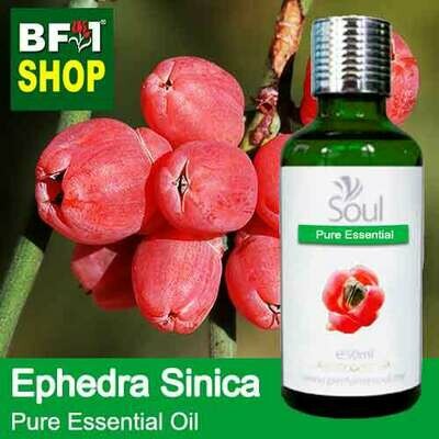 Pure Essential Oil (EO) - Ephedra Sinica Essential Oil - 50ml