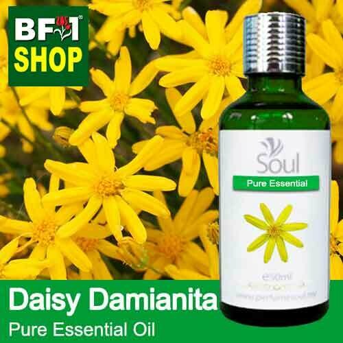 Pure Essential Oil (EO) - Daisy Damianita ( Chrysactinia Mexicana ) Essential Oil - 50ml