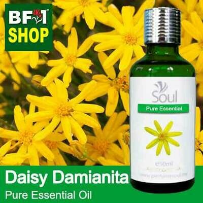 Pure Essential Oil (EO) - Daisy Damianita ( Chrysactinia Mexicana ) Essential Oil - 50ml