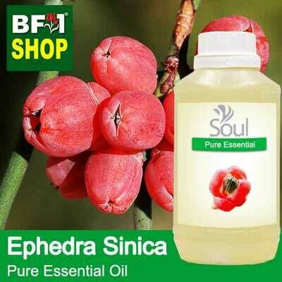 Pure Essential Oil (EO) - Ephedra Sinica Essential Oil - 500ml
