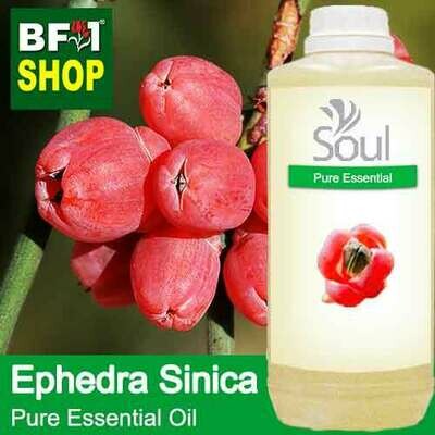 Pure Essential Oil (EO) - Ephedra Sinica Essential Oil - 1L