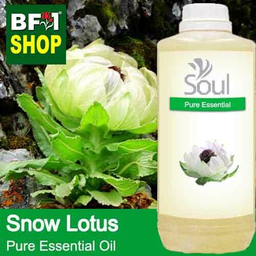Pure Essential Oil (EO) - Snow Lotus ( Saussurea Involucrata ) Essential Oil - 1L