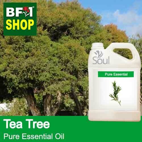 Pure Essential Oil (EO) - Tea Tree Essential Oil - 5L