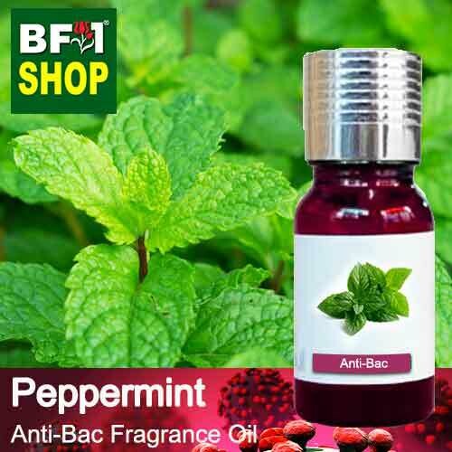 Anti-Bac Fragrance Oil (ABF) - mint - Peppermint Anti-Bac Fragrance Oil - 10ml
