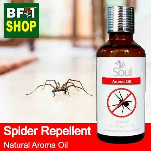 Natural Aroma Oil (AO) - Spider Repellent Aroma Oil - 50ml