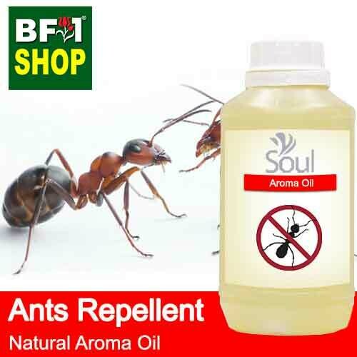 Natural Aroma Oil (AO) - Ants Repellent Aroma Oil - 500ml