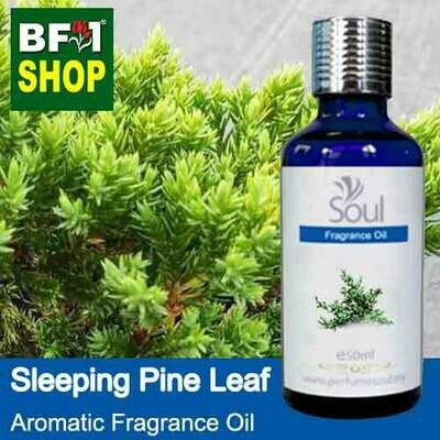 Aromatic Fragrance Oil (AFO) - Sleeping Pine Leaf - 50ml