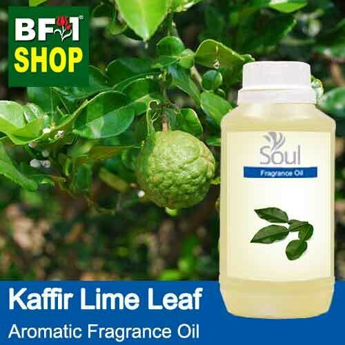 Aromatic Fragrance Oil (AFO) - Kaffir Lime Leaf - 250ml