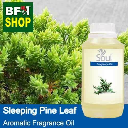 Aromatic Fragrance Oil (AFO) - Sleeping Pine Leaf - 250ml