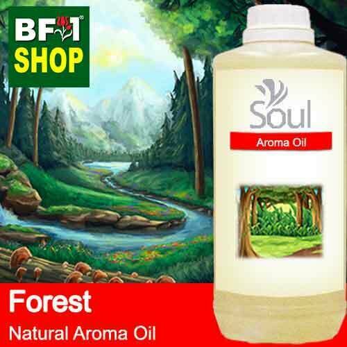 Natural Aroma Oil (AO) - Forest Aura Aroma Oil - 1L