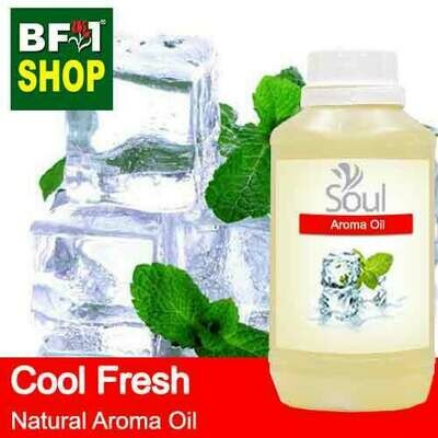 Natural Aroma Oil (AO) - Cool Fresh Aura Aroma Oil - 500ml