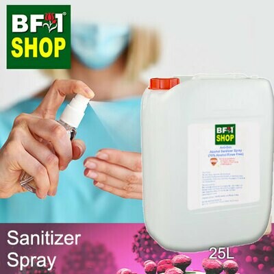 Antibacterial Alcohol Hand Sanitizer Spray ( 75% Alcohol Liquid Form Rinse Free ) - 25L