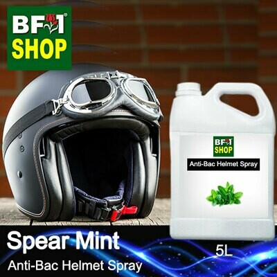 Helmet Sanitizer And Deodorizer Spray - mint - Spear Mint - 5L