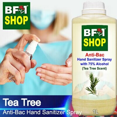 Hand Sanitizer Spray 1L