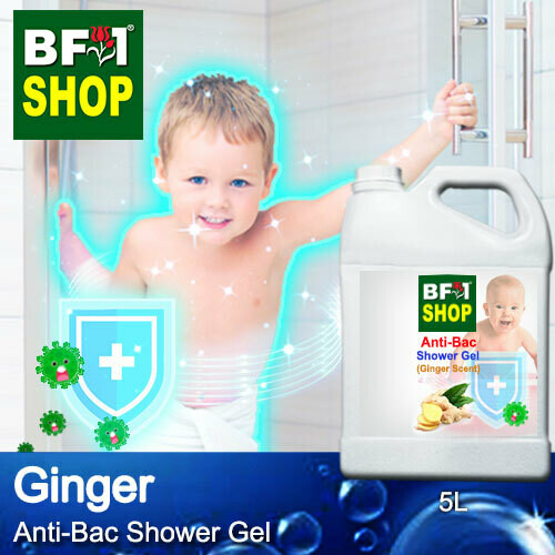 Anti-Bac Shower Gel (ABSG) - Ginger - 5L