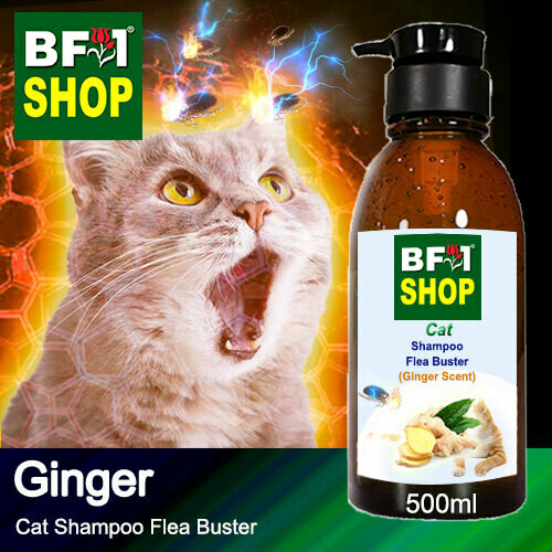 Cat Shampoo Flea Buster (CSO-Cat) - Ginger - 500ml ⭐⭐⭐⭐⭐