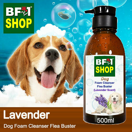 Dog Foam Cleanser Flea Buster (DFC-Dog) - Lavender - 500ml ⭐⭐⭐⭐⭐