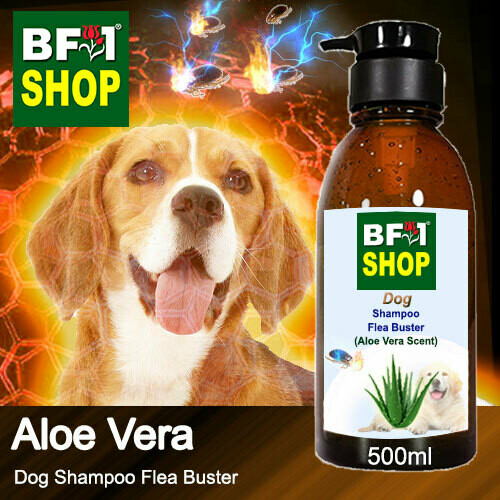 Dog Shampoo Flea Buster (DSO-Dog) - Aloe Vera - 500ml ⭐⭐⭐⭐⭐