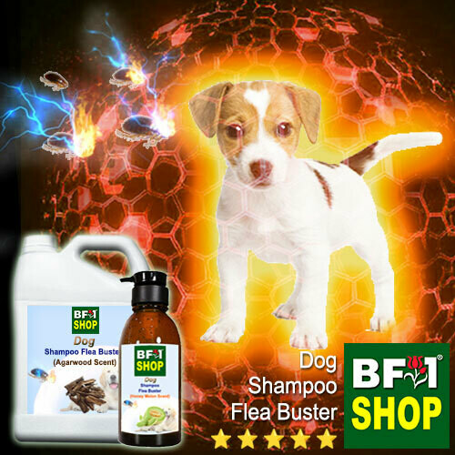 Can You Put Lime On Dogs For Fleas