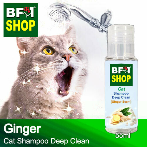 Cat Shampoo Deep Clean (CSDC-Cat) - Ginger - 55ml ⭐⭐⭐⭐⭐