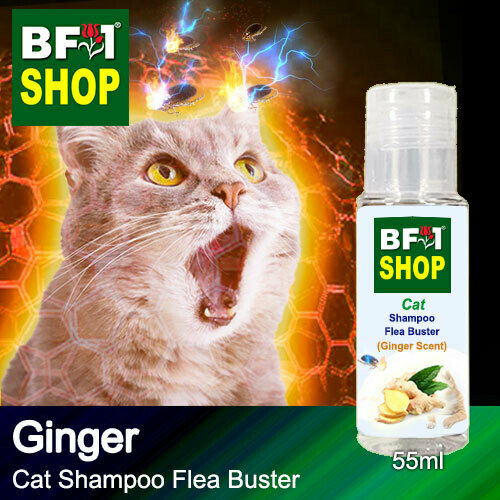 Cat Shampoo Flea Buster (CSO-Cat) - Ginger - 55ml ⭐⭐⭐⭐⭐
