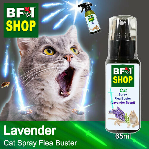 Cat Spray Flea Buster (CSY-Cat) - Lavender - 65ml ⭐⭐⭐⭐⭐