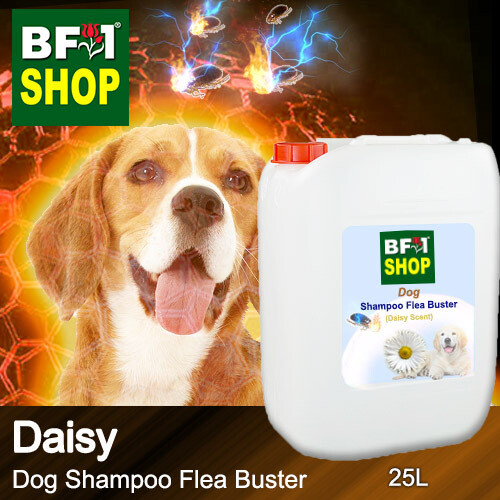 Dog Shampoo Flea Buster (DSO-Dog) - Daisy - 25L ⭐⭐⭐⭐⭐