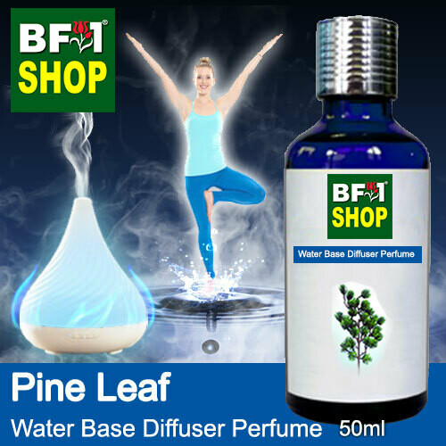 Aromatic Water Base Perfume (WBP) - Pine Leaf - 50ml Diffuser Perfume