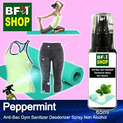 (ABGSD) mint - Peppermint Anti-Bac Gym Sanitizer Deodorizer Spray - Non Alcohol - 65ml