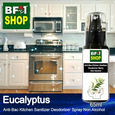 (ABKSD) Eucalyptus Anti-Bac Kitchen Sanitizer Deodorizer Spray - Non Alcohol - 65ml